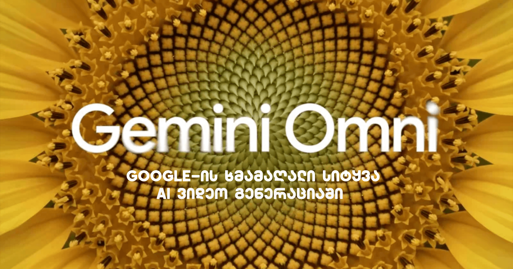 Google-მა Gemini Omni წარადგინა: შექმენი AI ვიდეოები ყველაფრიდან